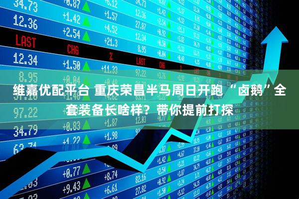 维嘉优配平台 重庆荣昌半马周日开跑 “卤鹅”全套装备长啥样？带你提前打探