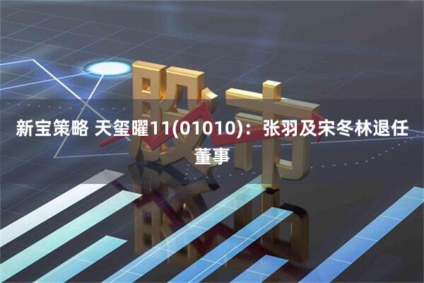 新宝策略 天玺曜11(01010)：张羽及宋冬林退任董事