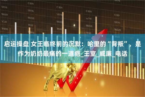启运操盘 女王临终前的沉默：哈里的“背叛”，是作为奶奶最痛的一道疤_王室_威廉_电话
