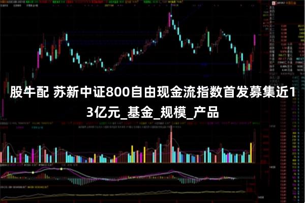 股牛配 苏新中证800自由现金流指数首发募集近13亿元_基金_规模_产品