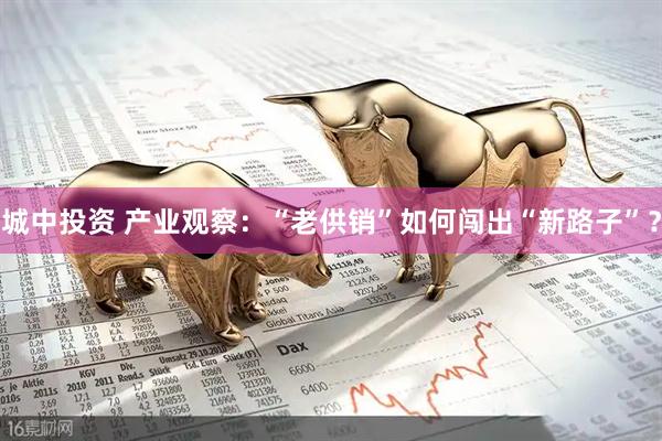 城中投资 产业观察：“老供销”如何闯出“新路子”？
