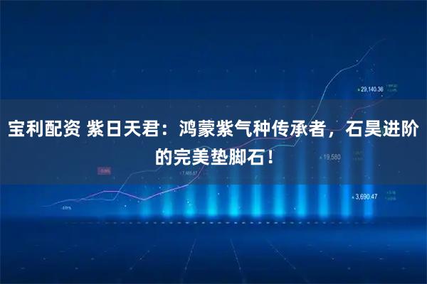 宝利配资 紫日天君:鸿蒙紫气种传承者,石昊进阶的完美垫脚石!