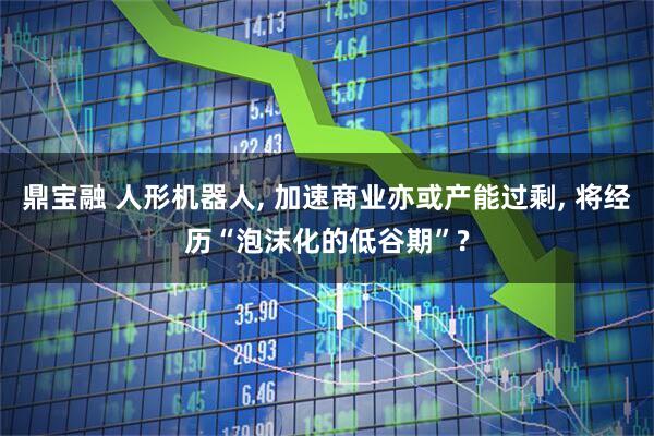 鼎宝融 人形机器人, 加速商业亦或产能过剩, 将经历“泡沫化的低谷期”?