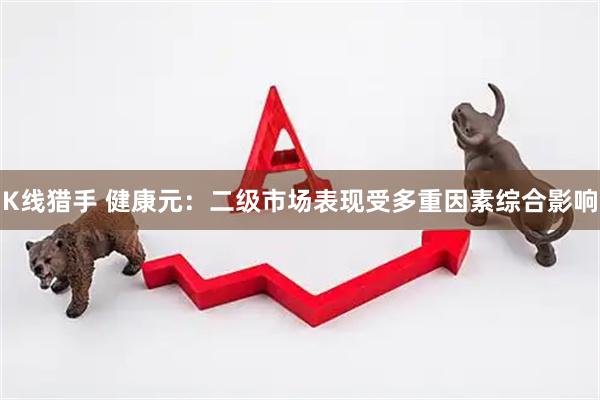 K线猎手 健康元：二级市场表现受多重因素综合影响