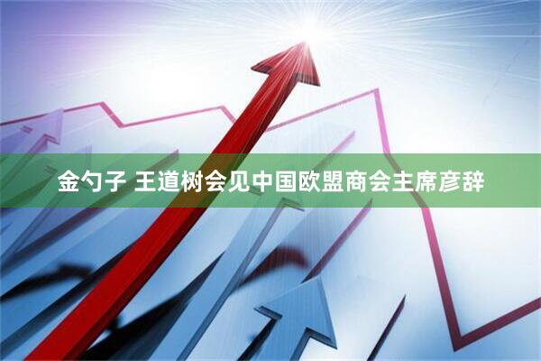 金勺子 王道树会见中国欧盟商会主席彦辞