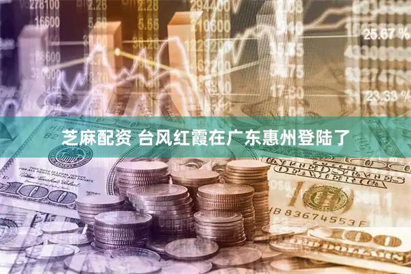 芝麻配资 台风红霞在广东惠州登陆了